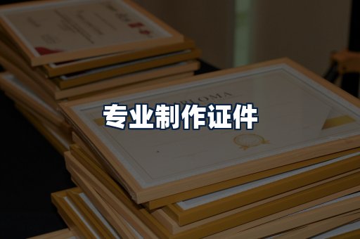 专业制作证件